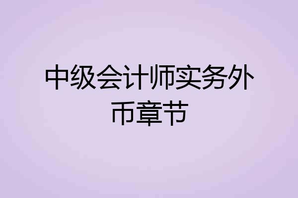 中级会计师实务外币章节