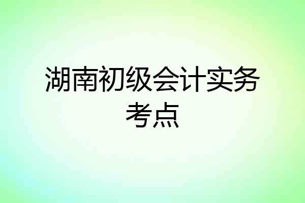湖南初级会计实务考点