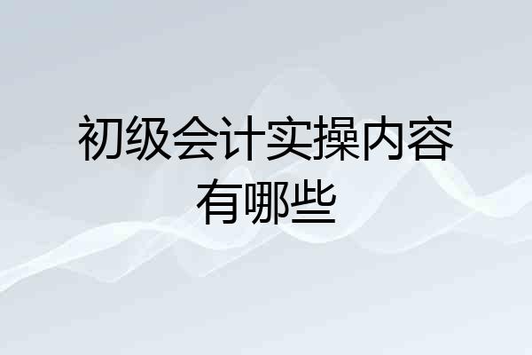 初级会计实操内容有哪些