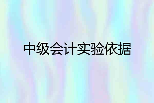 中级会计实验依据