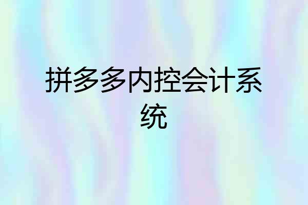 拼多多内控会计系统