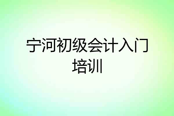 宁河初级会计入门培训
