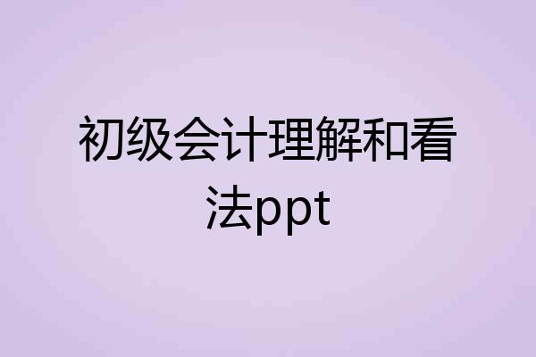 初级会计理解和看法ppt