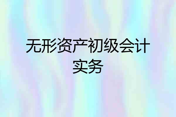 无形资产初级会计实务
