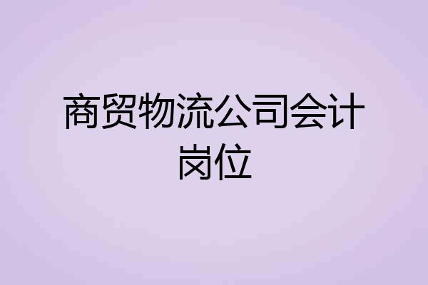 商贸物流公司会计岗位