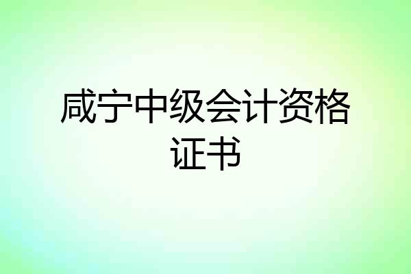 咸宁中级会计资格证书