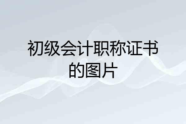 初级会计职称证书的图片