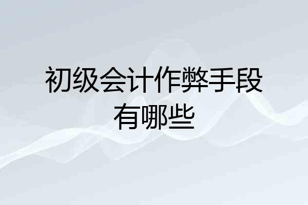 初级会计作弊手段有哪些