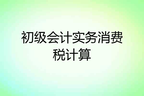 初级会计实务消费税计算