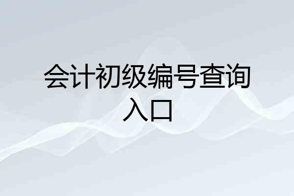 会计初级编号查询入口
