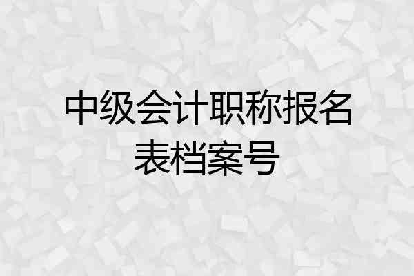 中级会计职称报名表档案号