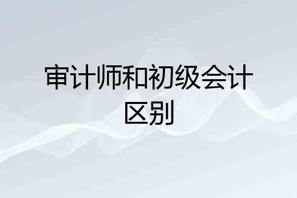 审计师和初级会计区别
