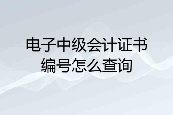 电子中级会计证书编号怎么查询