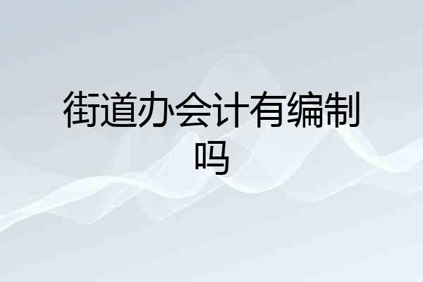 街道办会计有编制吗