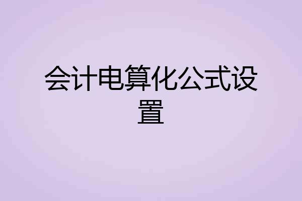 会计电算化公式设置