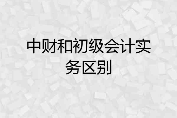 中财和初级会计实务区别