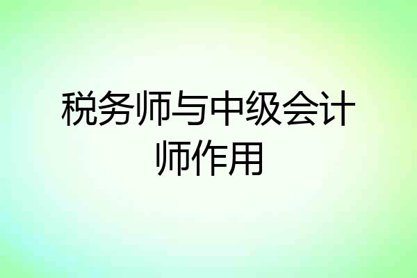 税务师与中级会计师作用
