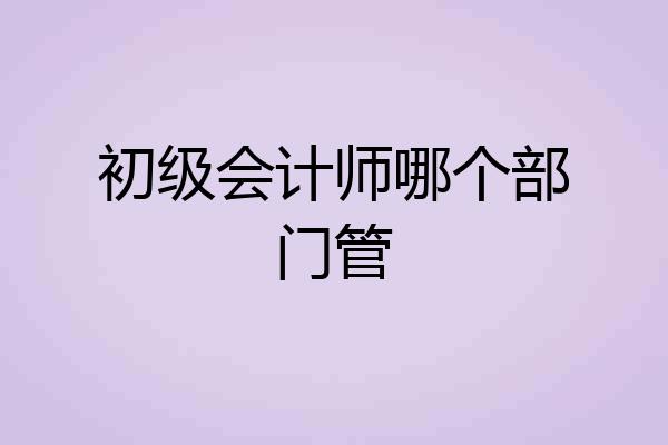 初级会计师哪个部门管