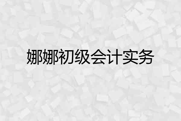 娜娜初级会计实务