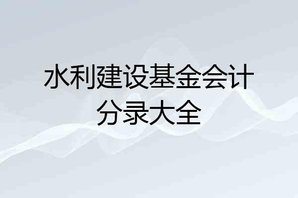 水利建设基金会计分录大全