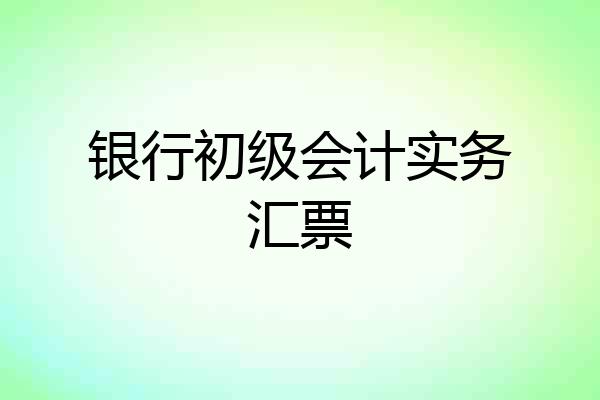 银行初级会计实务汇票