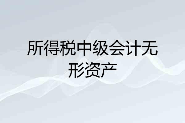 所得税中级会计无形资产