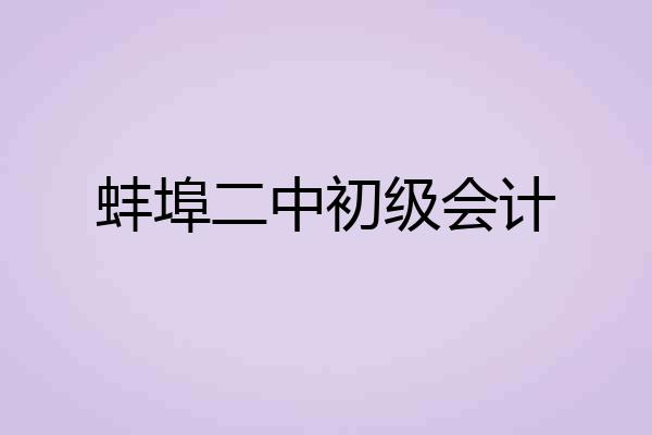 蚌埠二中初级会计