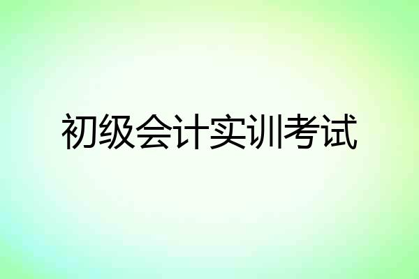 初级会计实训考试
