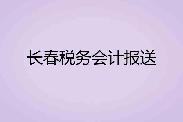 长春税务会计报送