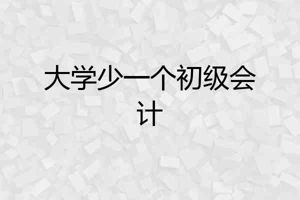 大学少一个初级会计