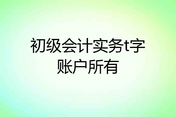 初级会计实务t字账户所有