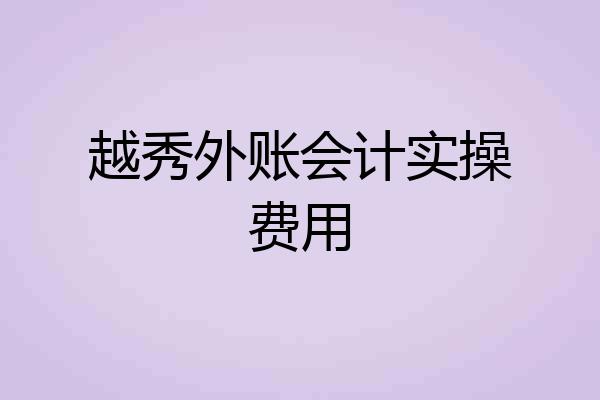 越秀外账会计实操费用