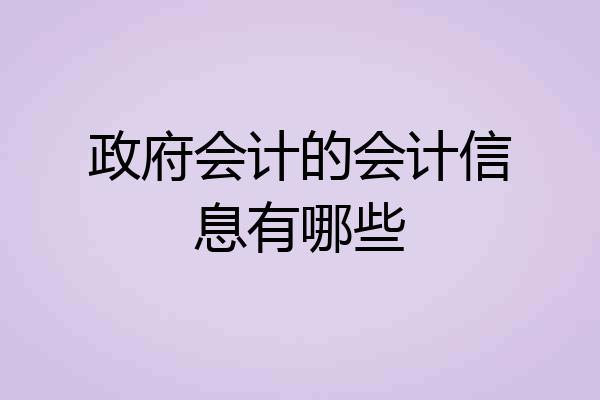 政府会计的会计信息有哪些