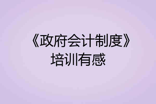 《政府会计制度》培训有感