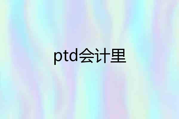 ptd会计里