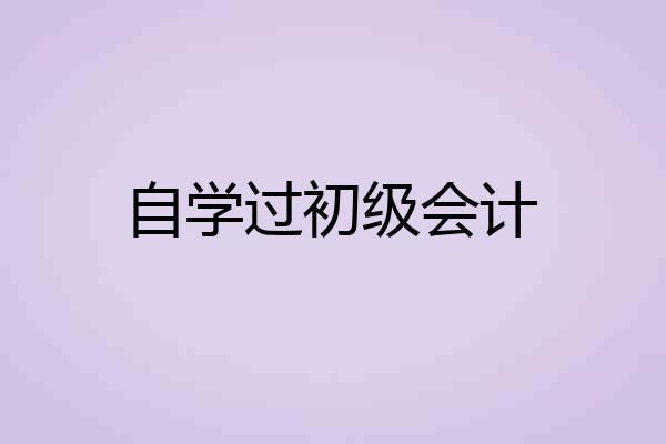 自学过初级会计