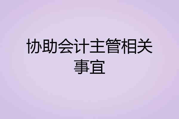 协助会计主管相关事宜