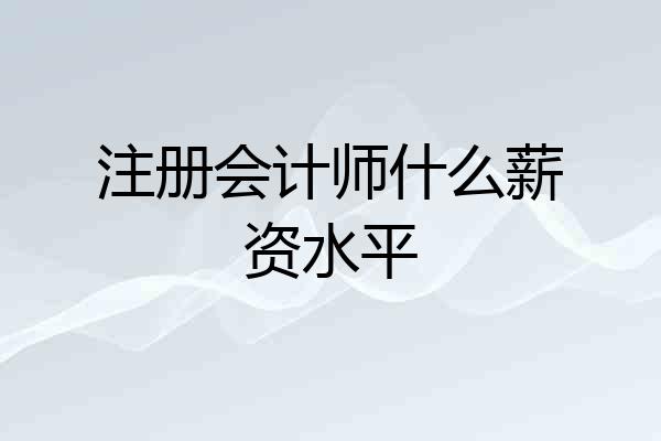 注册会计师什么薪资水平