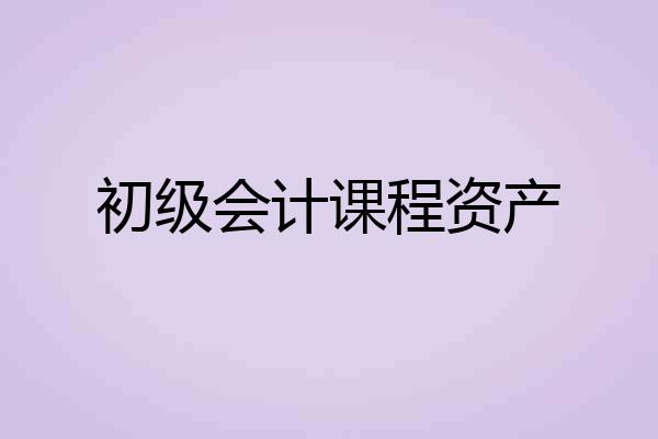 初级会计课程资产