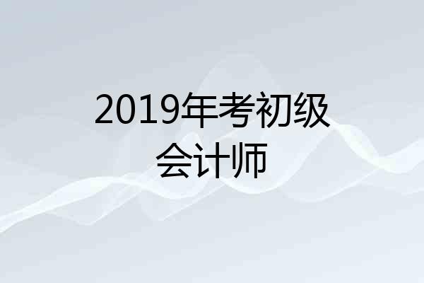 2019年考初级会计师