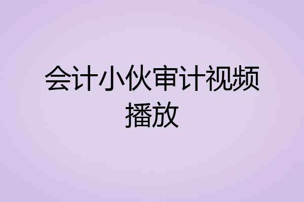 会计小伙审计视频播放