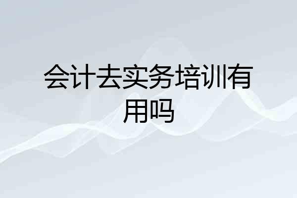 会计去实务培训有用吗