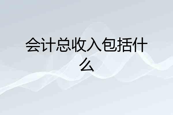 会计总收入包括什么