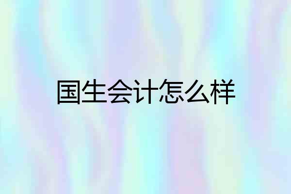 国生会计怎么样
