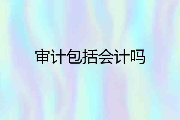 审计包括会计吗