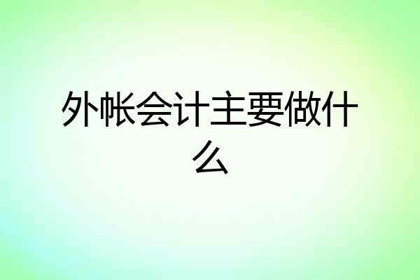 外帐会计主要做什么