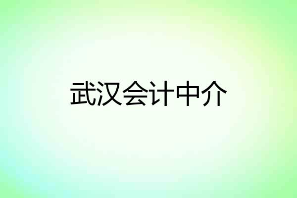 武汉会计中介
