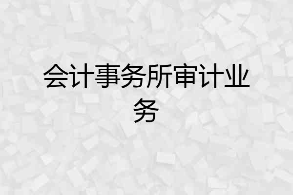 会计事务所审计业务