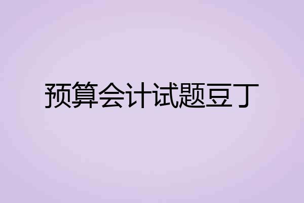 预算会计试题豆丁