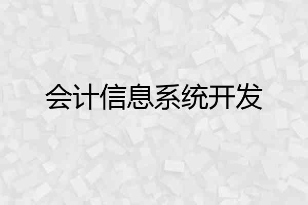 会计信息系统开发